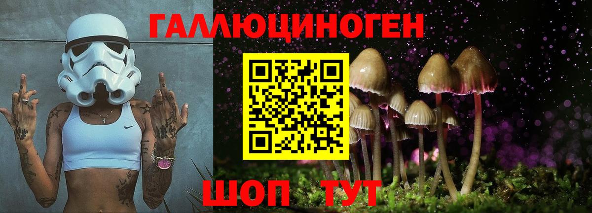 Галлюциногенные грибы прущие грибы  Вход с VPN  Реж 
